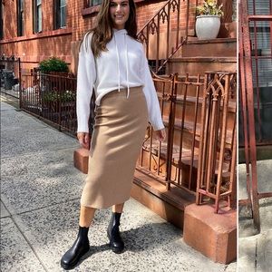 Aritzia Babaton Johan Skirt